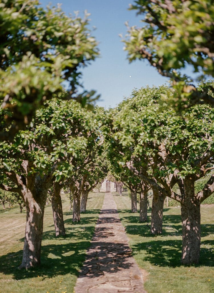 Orchard at Cornwell Manor UK